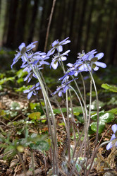 Similar image 615617