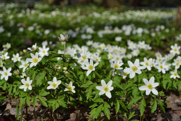 Similar image 615618