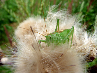 Similar image 615640