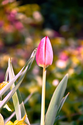 Similar image 615644