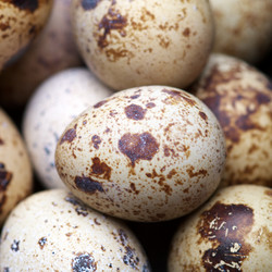 Similar image 615680