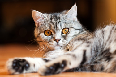 Similar image 615690