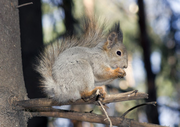 Similar image 615717