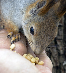 Similar image 615721