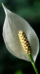 Similar image 615744