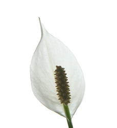 Similar image 615748