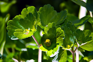 Similar image 615767