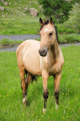 Similar image 615777