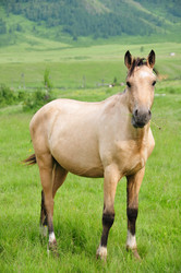 Similar image 615778