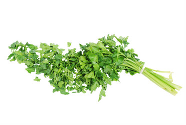 Similar image 615806