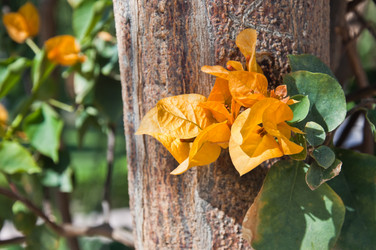 Similar image 615889