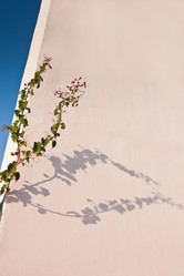 Similar image 615891