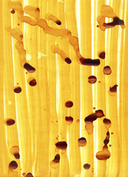 Similar image 615899