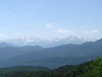 Similar image 615902