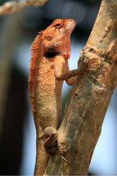 Similar image 615930