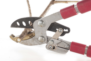 Similar image 615967