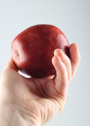 Similar image 615996