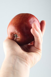 Similar image 615999