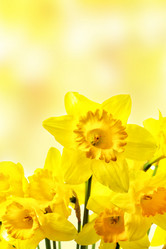 Similar image 616103