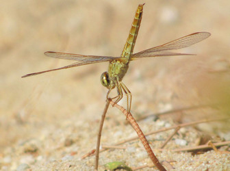 Similar image 616114