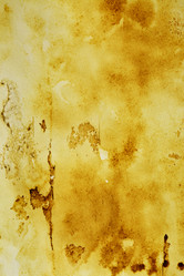 Similar image 616223