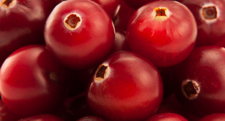 Similar image 616342