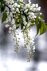 Similar image 616349