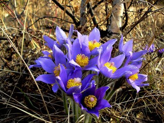 Similar image 616350