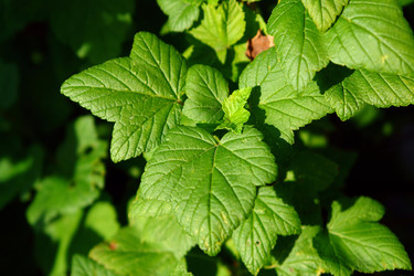 Similar image 616352