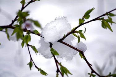 Similar image 616355