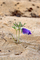 Similar image 616357