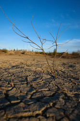 Similar image 616363