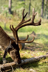 Similar image 616377