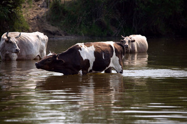 Similar image 616381