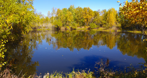 Similar image 616408