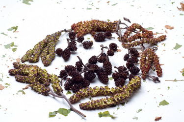 Similar image 616411