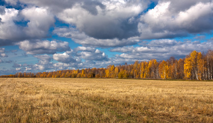 Similar image 616413