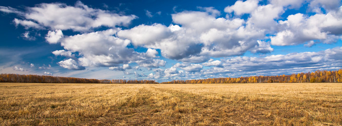 Similar image 616414