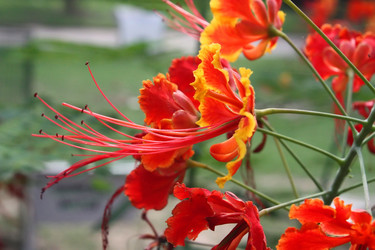 Similar image 616421