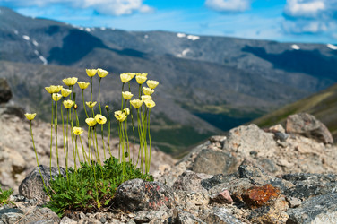 Similar image 616455