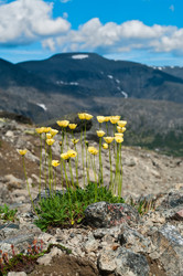 Similar image 616456