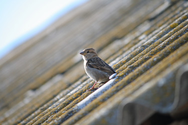 Similar image 616459