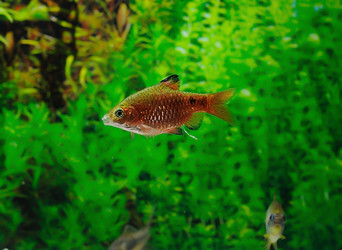 Similar image 616543