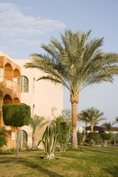 Similar image 616632