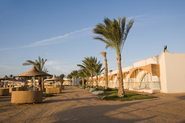 Similar image 616634