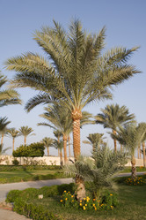 Similar image 616635