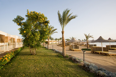 Similar image 616637