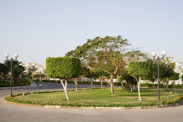 Similar image 616638