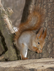 Similar image 616644