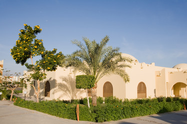 Similar image 616653